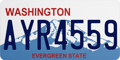 WA license plate AYR4559