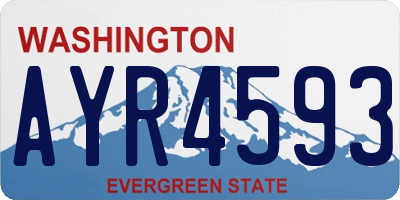 WA license plate AYR4593