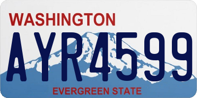 WA license plate AYR4599