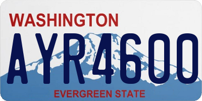 WA license plate AYR4600