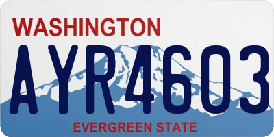 WA license plate AYR4603