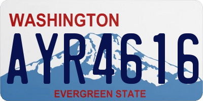 WA license plate AYR4616