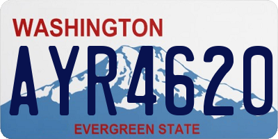 WA license plate AYR4620