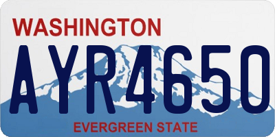 WA license plate AYR4650