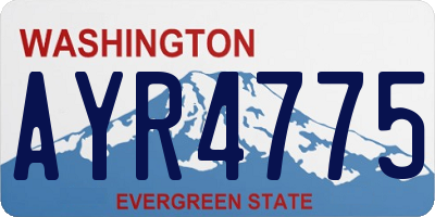 WA license plate AYR4775