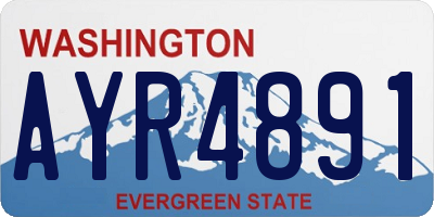 WA license plate AYR4891