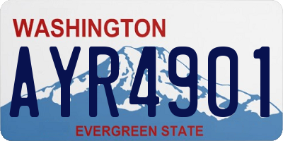 WA license plate AYR4901