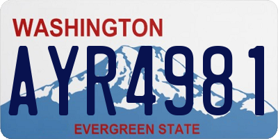 WA license plate AYR4981