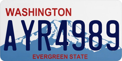 WA license plate AYR4989