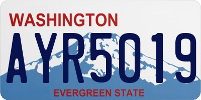 WA license plate AYR5019