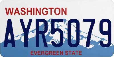 WA license plate AYR5079