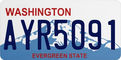 WA license plate AYR5091