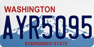 WA license plate AYR5095