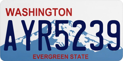 WA license plate AYR5239