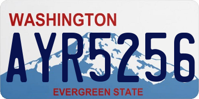WA license plate AYR5256