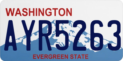 WA license plate AYR5263