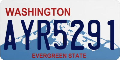 WA license plate AYR5291