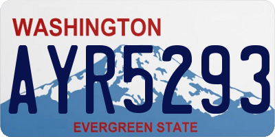 WA license plate AYR5293
