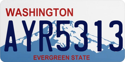 WA license plate AYR5313