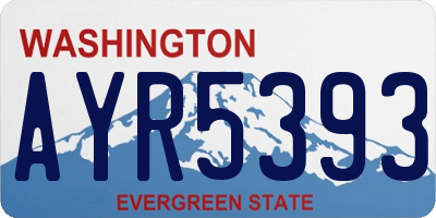 WA license plate AYR5393