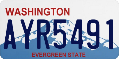 WA license plate AYR5491