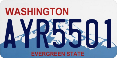 WA license plate AYR5501