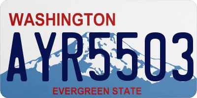 WA license plate AYR5503