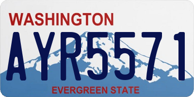 WA license plate AYR5571