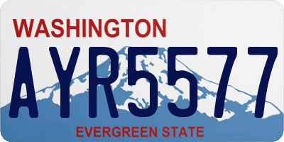 WA license plate AYR5577
