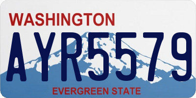 WA license plate AYR5579