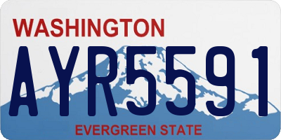 WA license plate AYR5591