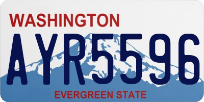 WA license plate AYR5596