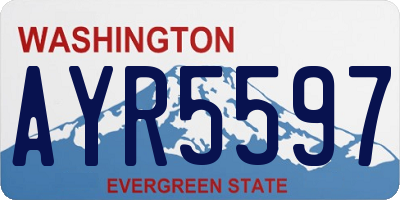 WA license plate AYR5597
