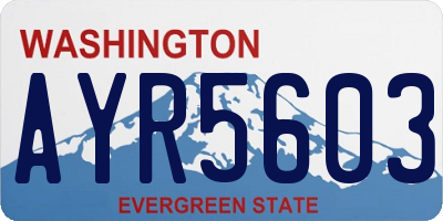 WA license plate AYR5603