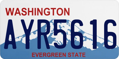 WA license plate AYR5616