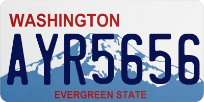 WA license plate AYR5656