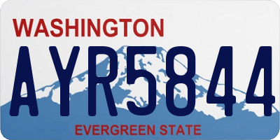 WA license plate AYR5844