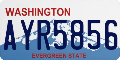 WA license plate AYR5856