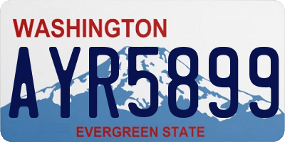 WA license plate AYR5899