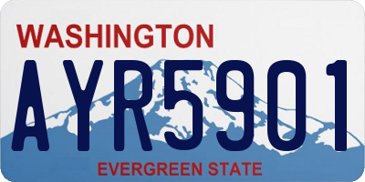 WA license plate AYR5901