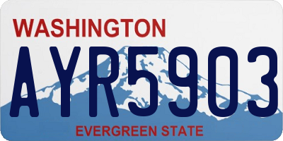 WA license plate AYR5903