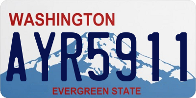 WA license plate AYR5911