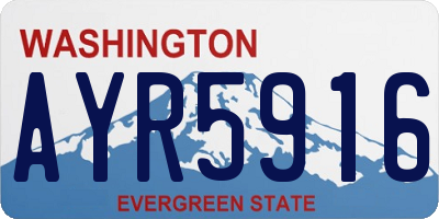 WA license plate AYR5916