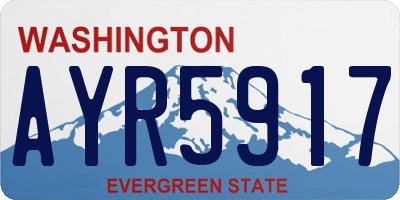 WA license plate AYR5917