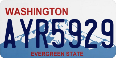 WA license plate AYR5929