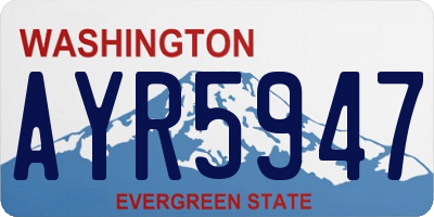 WA license plate AYR5947
