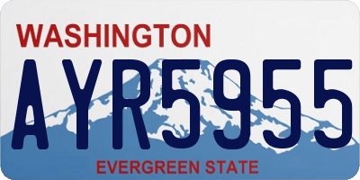WA license plate AYR5955