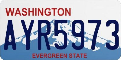 WA license plate AYR5973