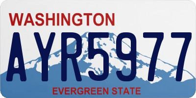 WA license plate AYR5977