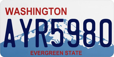 WA license plate AYR5980